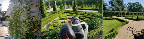 img-wrapper-568x156 pielegnacja1